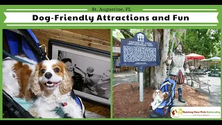 Traveling with Dogs in St Augustine Florida - Dog-Friendly Guide to St Augustine Florida