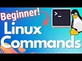 Linux Terminal Commands for Absolute Beginners - Learn how to start using the Terminal