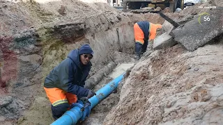                                دندنها