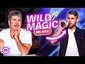 Download Lagu These Magicians Went Above And BEYOND For Their AGT Auditions! 🤯