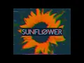 Download Lagu Rex Orange County - Sunflower (Slowed + Reverb)