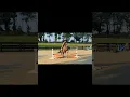 Download Lagu New content tmr!!{yes Ik I was tense on her mouth we worked on fixing that after this jump :)}