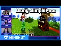 Using SimplePets Minehut 101