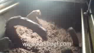 موسم الزيتون على دلعونا زيتون بلادي Low 