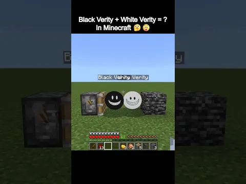 Black Verity + White Verity = ? In Minecraft π€π²