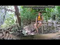 Download Lagu solo camping membuat pondok di Hutan Rimba dari kayu di tepi sungai mengerikan