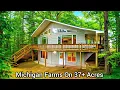 Michigan House On 37 Acres MI Waterfront Living Real Estate Mini Farms Old Houses