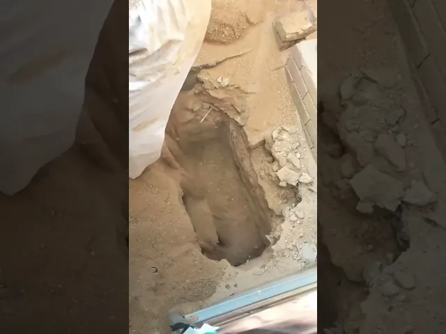 ⁣رب الخير مايجي منه بس الخير 🌱