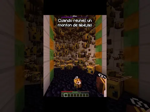 Abejas vs Wither #minecraft #minecraftshorts #minecraftmeme #memes