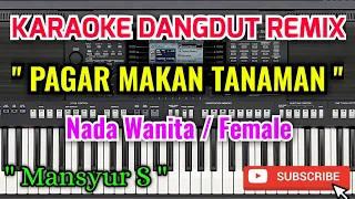 Download Pagar Makan Tanaman Karaoke - Karaoke Pagar Makan Tanaman Nada Wanita / Female - Mansyur S MP3