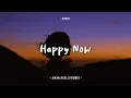 Download Lagu DJ FUNKYNIGHT ADEM! - Happy Now Remix Awan Axello Terbaru!