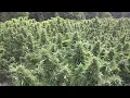 WELCOME TO HAZEVILLE  -  FIELD OF DREAMS