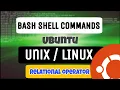 Nano editor - Relational operator Ubuntu bash shell commands Beginners guide