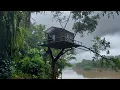 Download Lagu Camping hujan deras Membangun rumah pohon di pinggir sungai