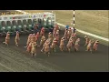 Download Lagu VIDEO: Dinosaurs take the track in viral T-Rex races