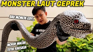 Download MASAK BELUT MONSTER RAKSASA. SUSAH MATENGNYA, LENDIRNYA GURIH ASIN. MP3