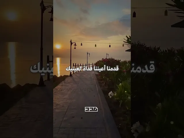 ⁣صباح الخير يا صاحب الزمان🌾#صباح_الخير #يوم_الجمعة