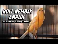 Download Lagu KENARI GACOR PANJANG Emosi Cuit Cuit NGEROL AMPUH utk Pancingan Kenari Paud dan Masteran Murai Batu