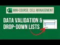Use Data Validation in Excel to Control Inputs Excel Mini-Course Cell Management Part 6