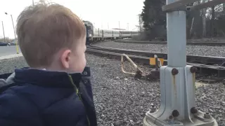 Jamison at bay head train station