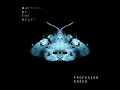 Got It All (feat. Alice Chater) - Professor Green