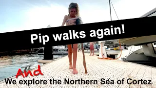 Pip Walks Again & Exploring Northern Sea of Cortez | Sailing with Six | S2 E6