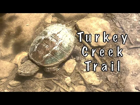 Turkey Creek Trail | Austin, Texas