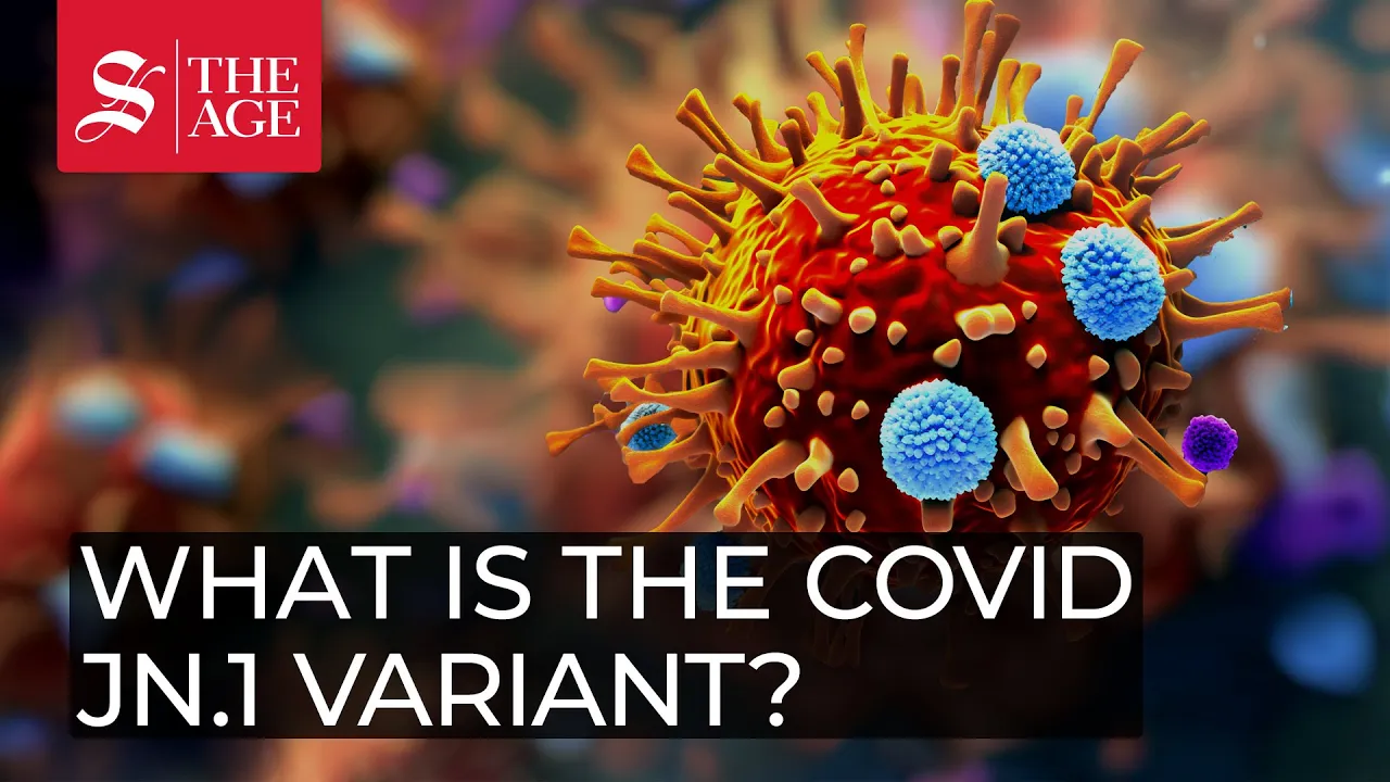 What is the COVID JN.1 variant?