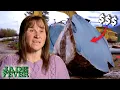 Download Lagu 8 Ton Jade Boulder Could Be Jackpot or Junk! | Full Episode S3 Ep4 | Jade Fever