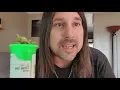 Dan s 420 Chronicles - Citrus Sap Top Self Weed Review 21