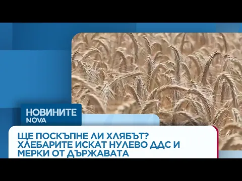Ще поскъпне ли хлябът? Хлебопроизводителите настояват за нулево ДДС и държавна подкрепа