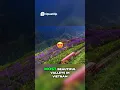 Download Lagu Sapa , Vietnam  An Unforgettable Journey Awaits