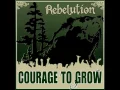 Download Lagu Rebelution - Courage To Grow