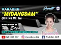 Lagu KARAOKE MIDANGDAM - NINING MEIDA │ MUSIC COVER BY WA EDEN