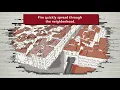 Common English Words by Tureng - Spread