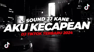 Download DJ AKU KECAPEAN CARI UANG DJ SAYANG GAMMA1 VIRAL TIKTOK TERBARU 2024 - XDiKz Music MP3
