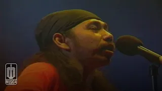 swami hio visual concert 