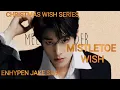 CHRISTMAS WISH SERIES (ENHYPEN JAKE SIM ONESHOT) MISTLETOE WISH