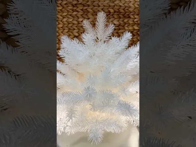 Spruce Branches video thumbnail