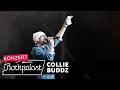 Lagu Collie Buddz live | Summerjam Festival 2024 | Rockpalast
