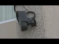 Springfield Police adding more Flock Cameras