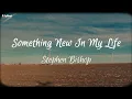 Download Lagu Stephen Bishop - Something New In My Life (Official Lyric Video)