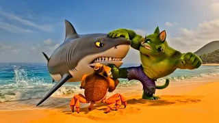 HulkCat & HulkDog at the Beach Fight -New Cartoon 2026