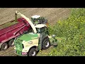 KRONE XDISC - Silphium as a Promising Alternative to Maize