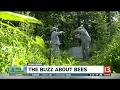Going Greene With Kelly Greene Honeybees