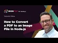 How to Convert a PDF to an Image File in Node js IronPDF