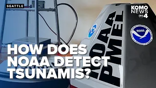 How does NOAA know when a tsunami will form or hit We find out