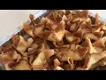 How to make PANDA EXPRESS CREAM CHEESE WONTONS