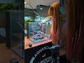Nano Aquascape build for a betta fish #betta #nanotank #nanoaquascape