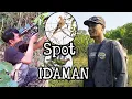 Download Lagu Spot Idaman \u0026 Hunting Puter Geni _ Tekukur // Om Odoy Guner Subang